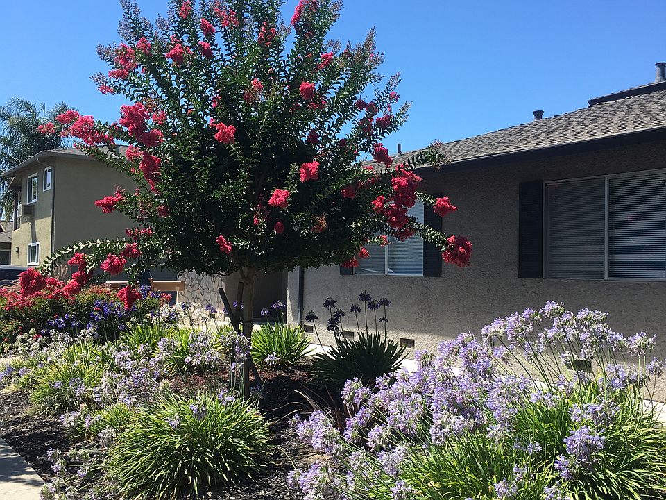 Street view of Fourplex