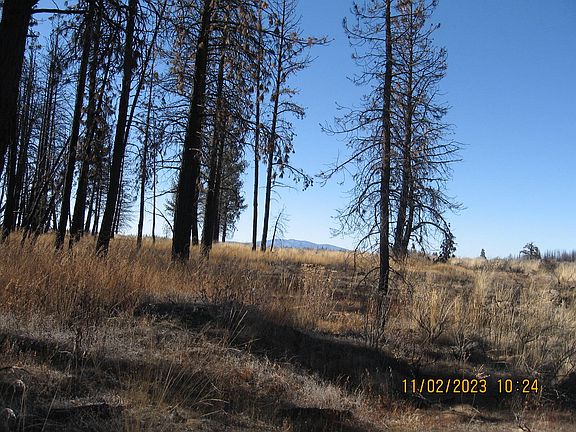 5th image of LOT 15 N Douglas Fir Ln
