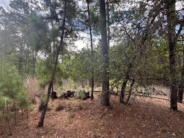Otto Lane & Red Fox Rd, La Grange, TX 78945