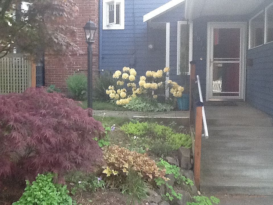2nd image of 4816 NE 71st St