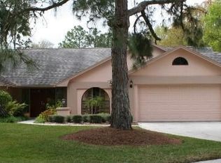 5201 Dwire Ct, Tampa, FL 33647