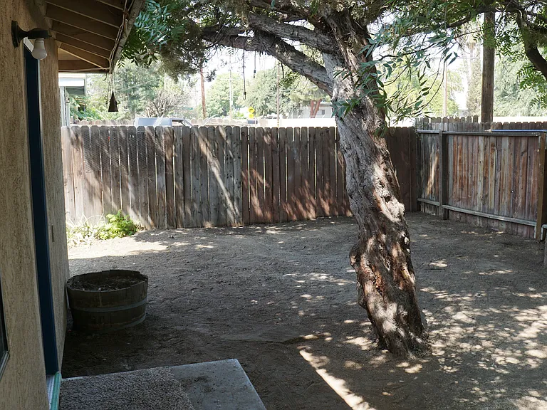 Side Yard in #32