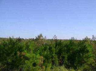 450 New Elam Church Rd, Moncure, NC 27559