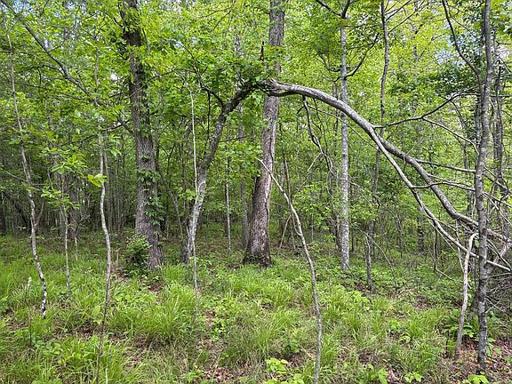 2nd image of Saddle Ln