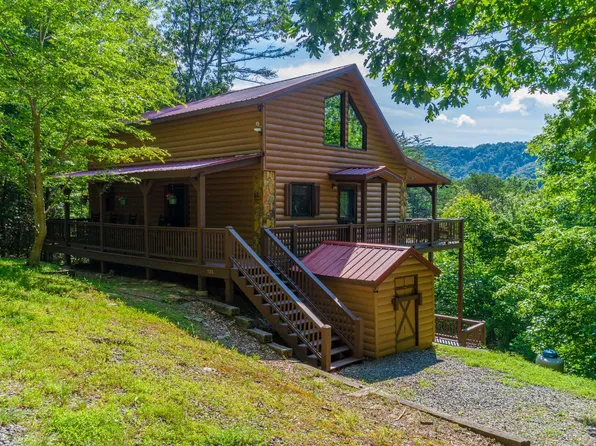 335 Mountain Laurel Ln, Blue Ridge, GA 30513
