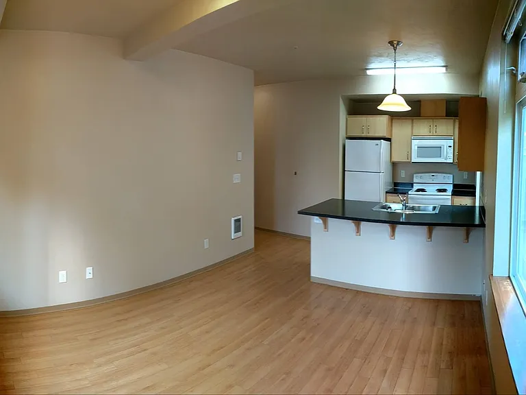 717 E 19th Alley - Living Area and Kitchen 717 E 19th Alley - Living Area and Kitchen