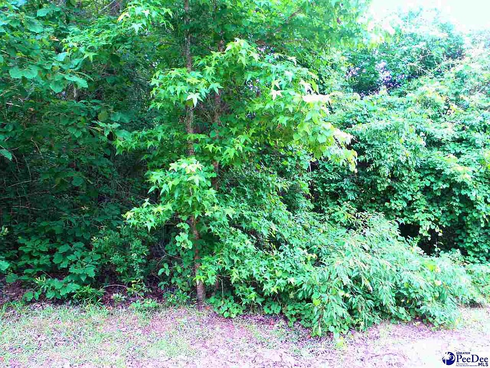 2nd image of LOT 4 Gee Valley Dr