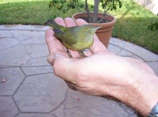 793 Cooper Rd, Chula Vista, CA 91911