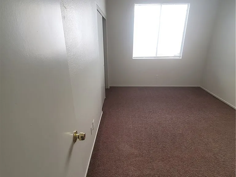 3119 Sentimental Ct — Photo 57