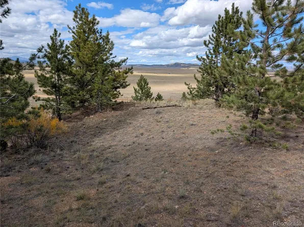 Tonkawa Road LOT 5642, Hartsel, CO 80449