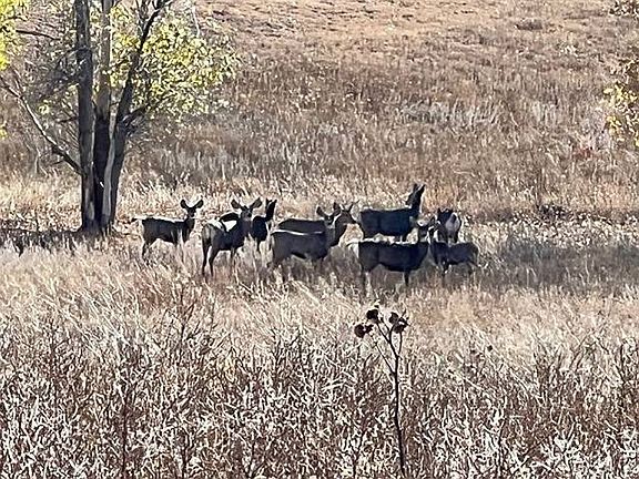 4th image of 15814 County Road 169