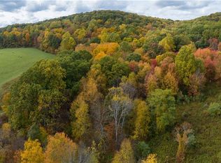 Brush Hill Rd, Millbrook, NY 12545