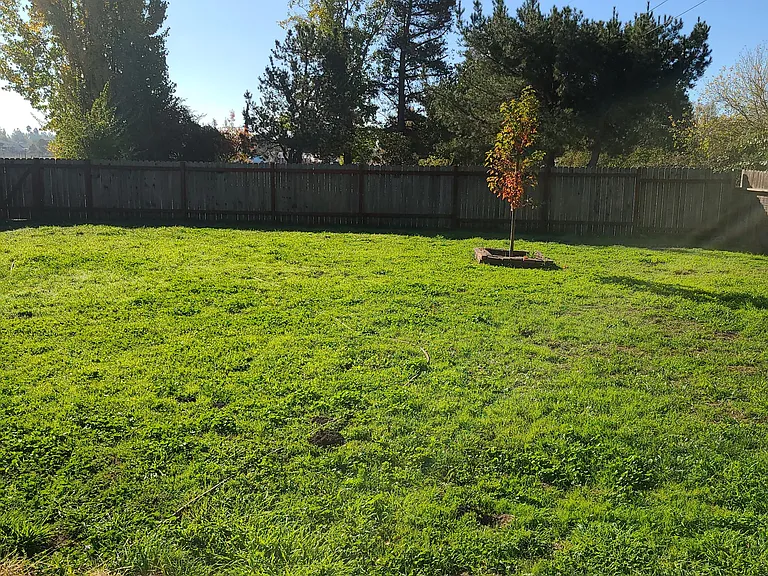 Horn Ave — Photo 14