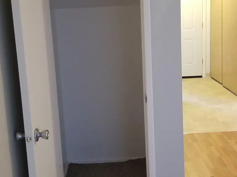 living room under stair closet
