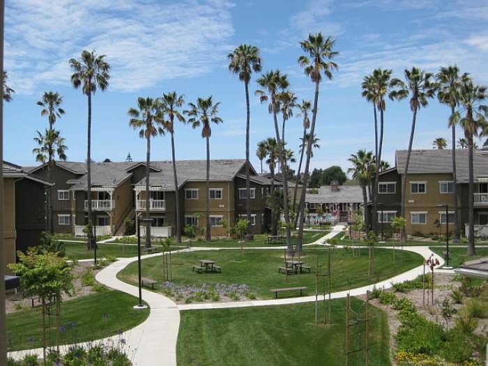 Lush Landscaped Courtyard
