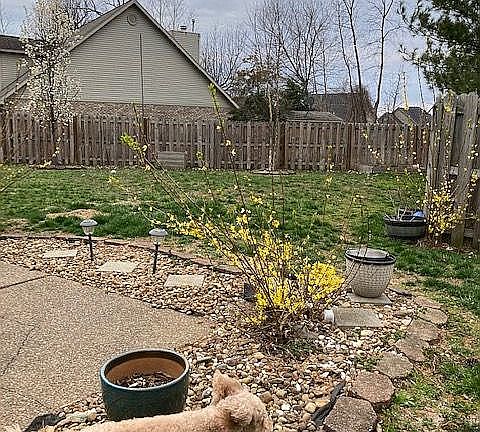 5th image of 8122 Cobblestone Ct