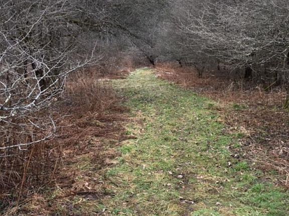 4th image of 819 County Road 28