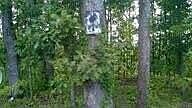 2nd image of Lot104/105 Peach Orchard Hill Rd NE