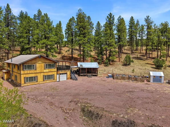 28 County Road 2310, Alpine, AZ 85920
