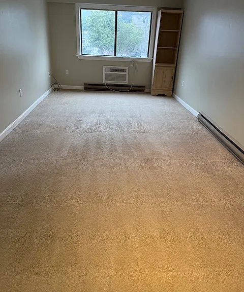 Living room (current, carpet shampooed)