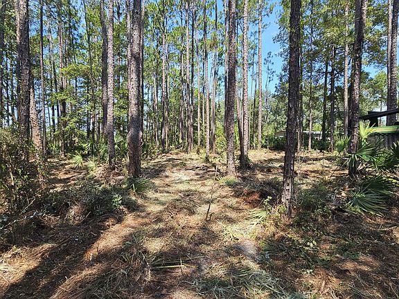 5th image of 323 Baker Creek Rd
