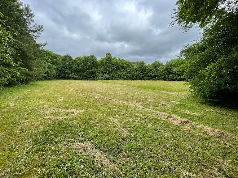 439 Pinson Rd NE — Photo 21