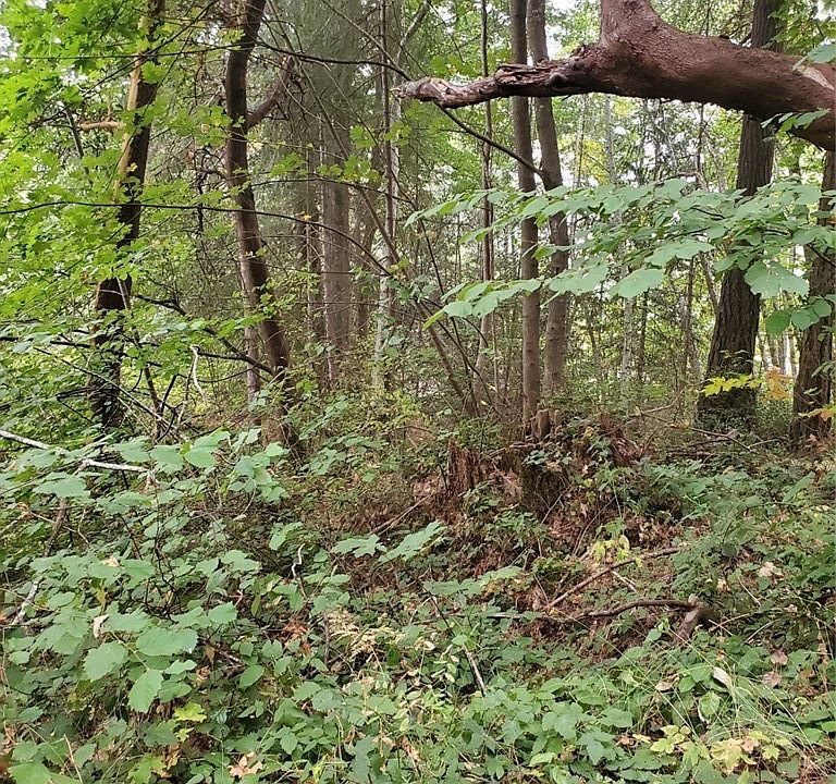 1st image of 31 lot # E Shorecrest Drive