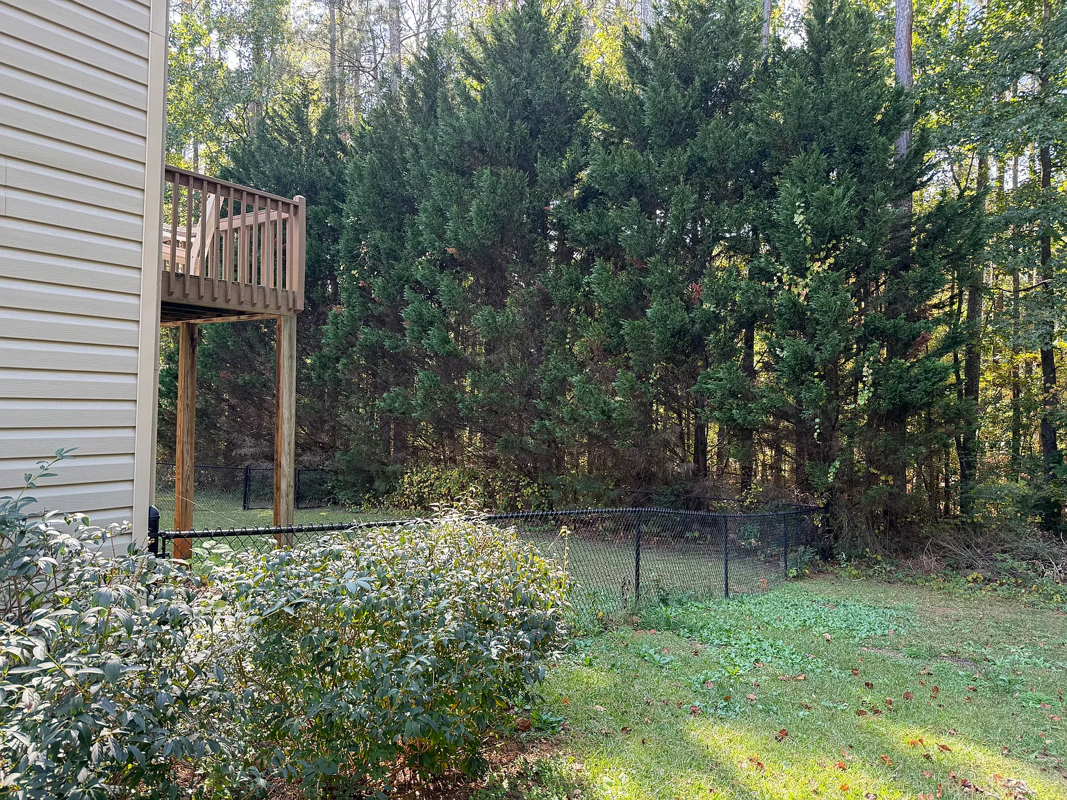 3 bed, $1,950 — Photo 4