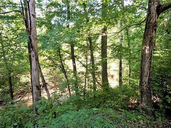 5th image of 2137 Riverbirch Ct