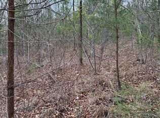 0 Rose Hollow Dr TRACT 2, Mill Spring, NC 28756