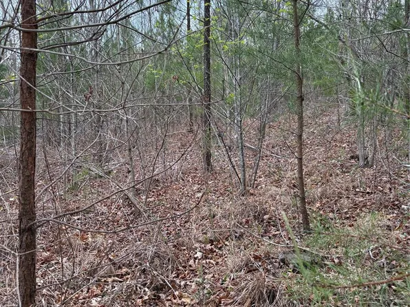 0 Rose Hollow Dr Tract 2, Mill Spring, NC 28756