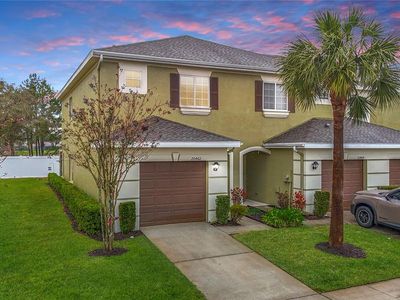 20462 Needletree Dr, Tampa, FL, 33647