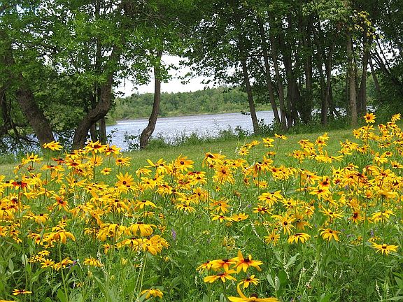 lot along river