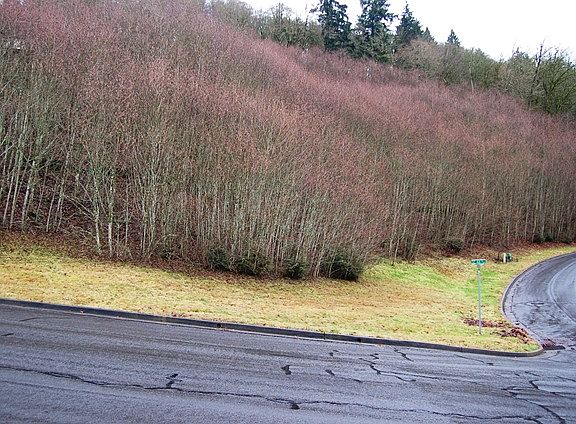 3rd image of 4606 SE Deer Creek Pl