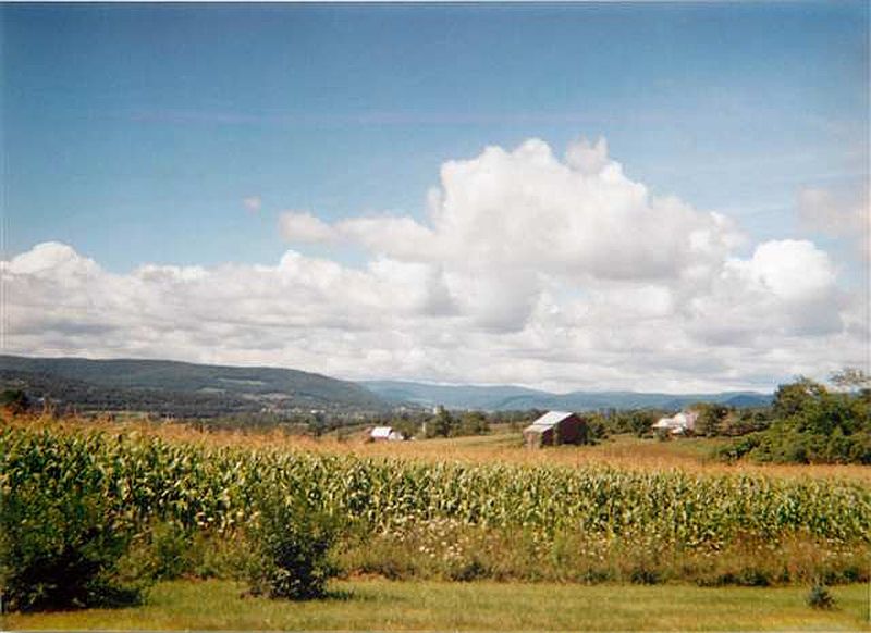 2nd image of 367 SAGENDORF CORS Road