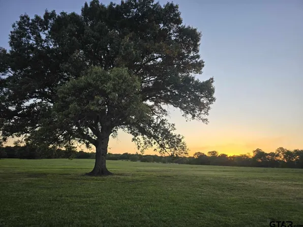 County Road 4509, Ben Wheeler, TX 75754
