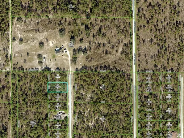 16483 Little Dove Rd, Brooksville, FL 34614