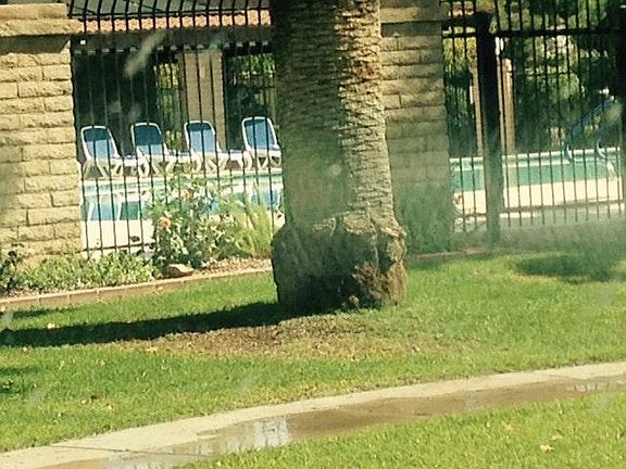 1 of the pools in Community