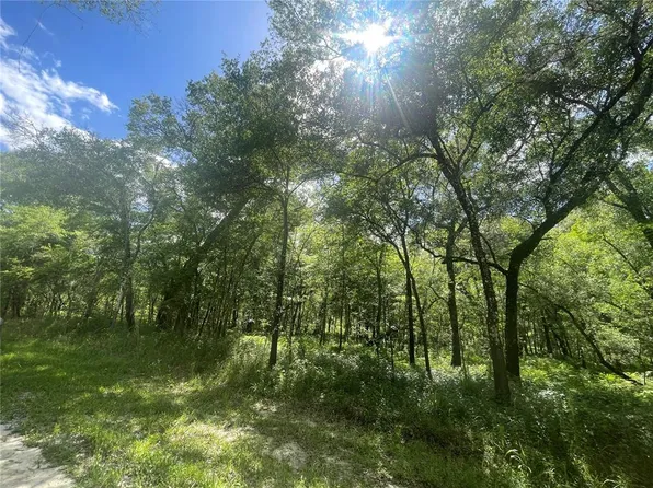 Packingham Dr Lot 4, Webster, FL 33597