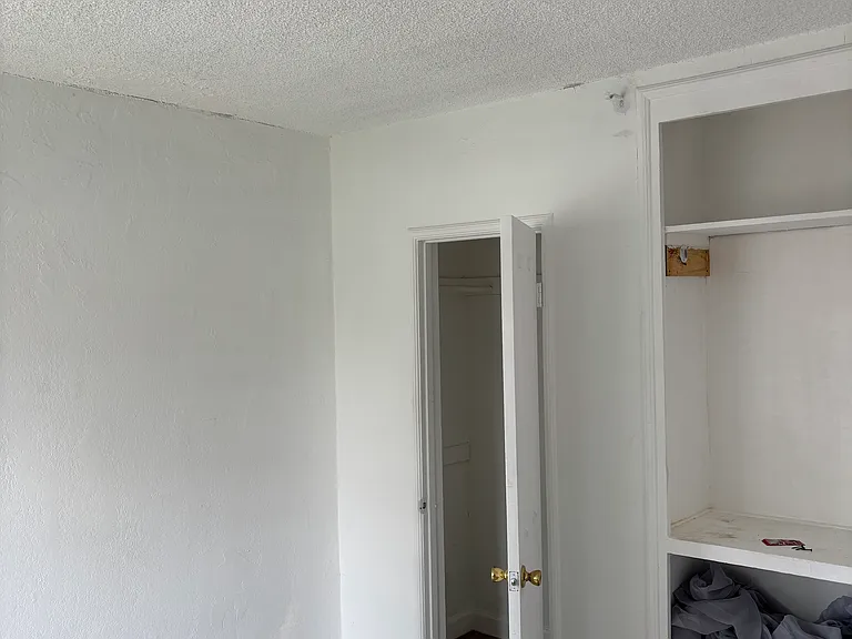 Bedroom #1 
closet and shelves