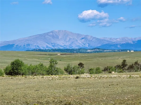 452 Grand Teton Ct, Hartsel, CO 80449