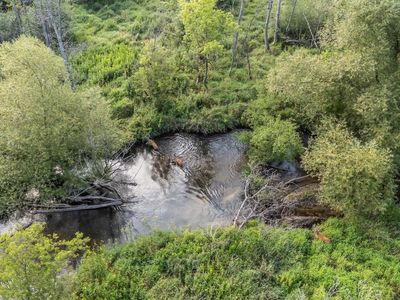 Pine St, Pine River, WI, 54965