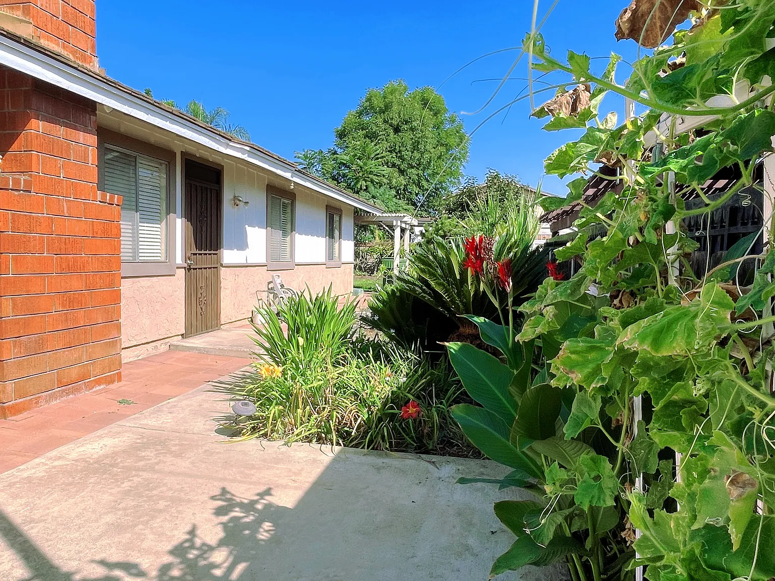 3 bed, 1316 sqft, $3,000 — Photo 3
