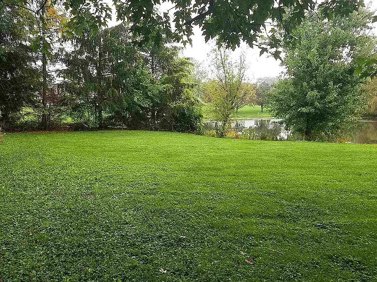 507 Apple Hill Way — Photo 4