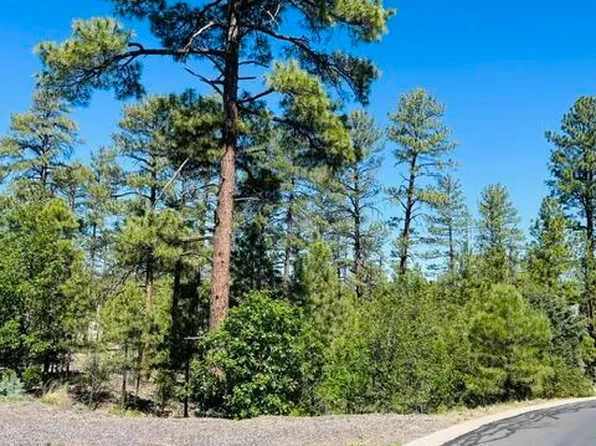 1900 S Silvertree Ln, Show Low, AZ 85901