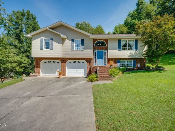 263 Mountain View Dr, Mt Carmel, TN 37645