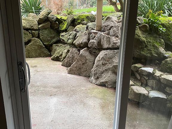 View from kitchen