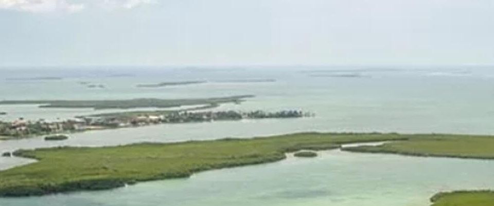 1st image of Oharas Key St