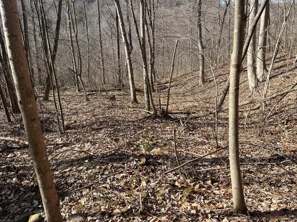 Hickson Run Rd, Chillicothe, OH 45601