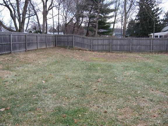 Back yard